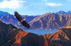 生(sheng)産(chan)基地